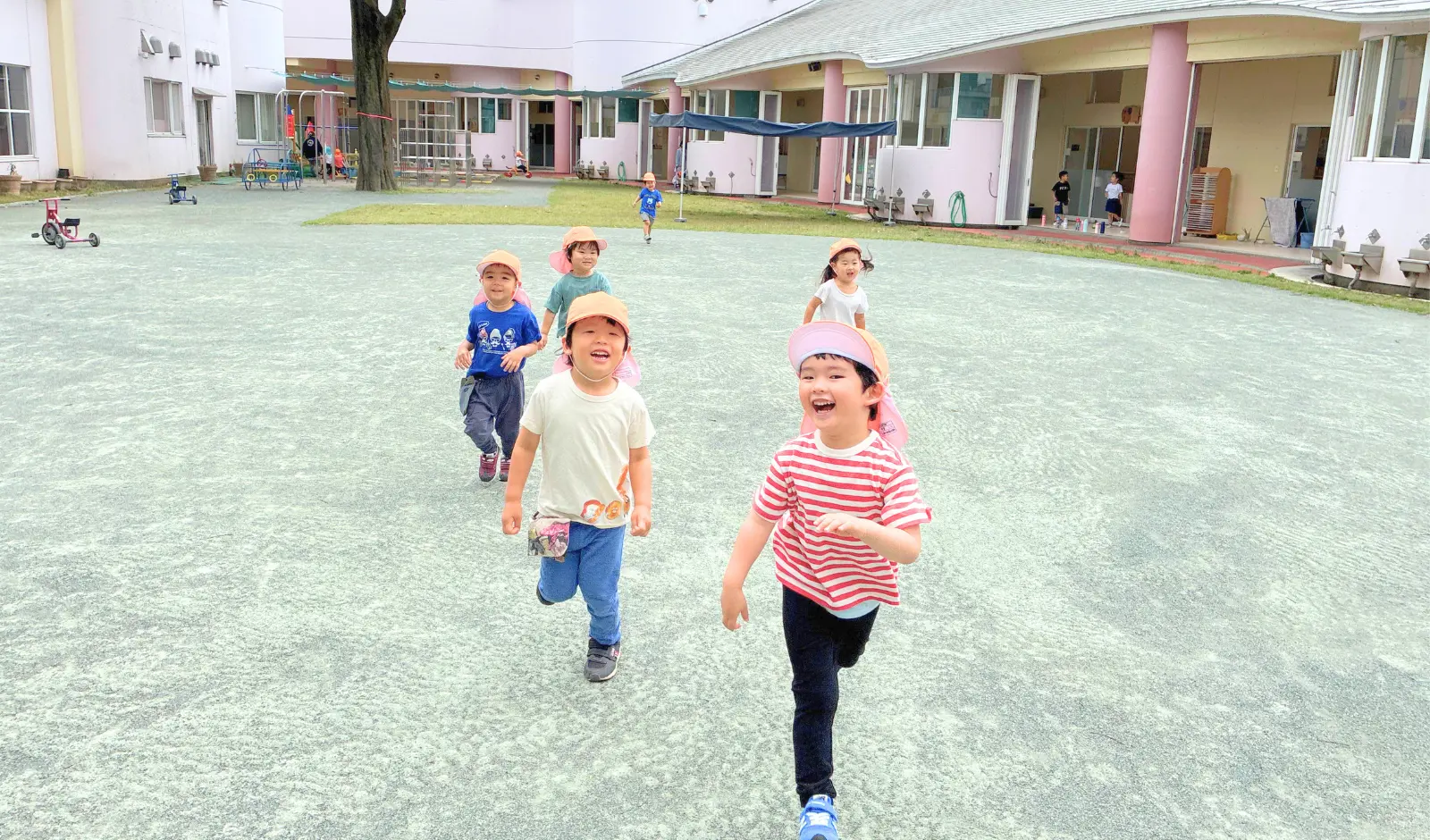 緑豊かな教育環境